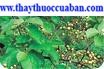 H&igrave;nh minh họa